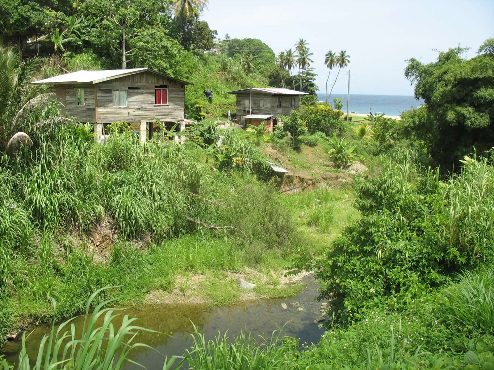 A new Island for us – Tobago, Trinadad 7-2008
