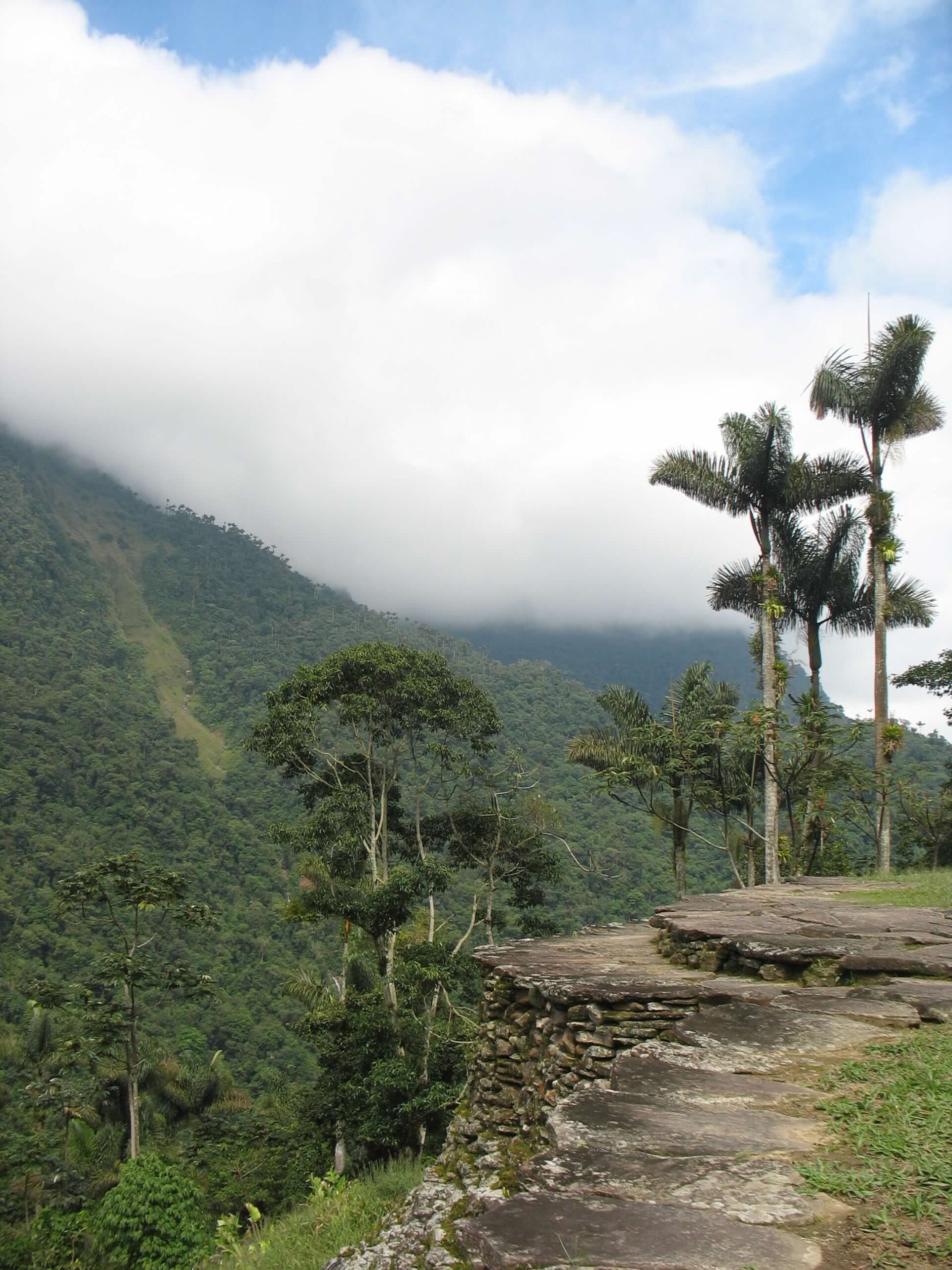 Ciudad Perdida – Lost City 11-2009