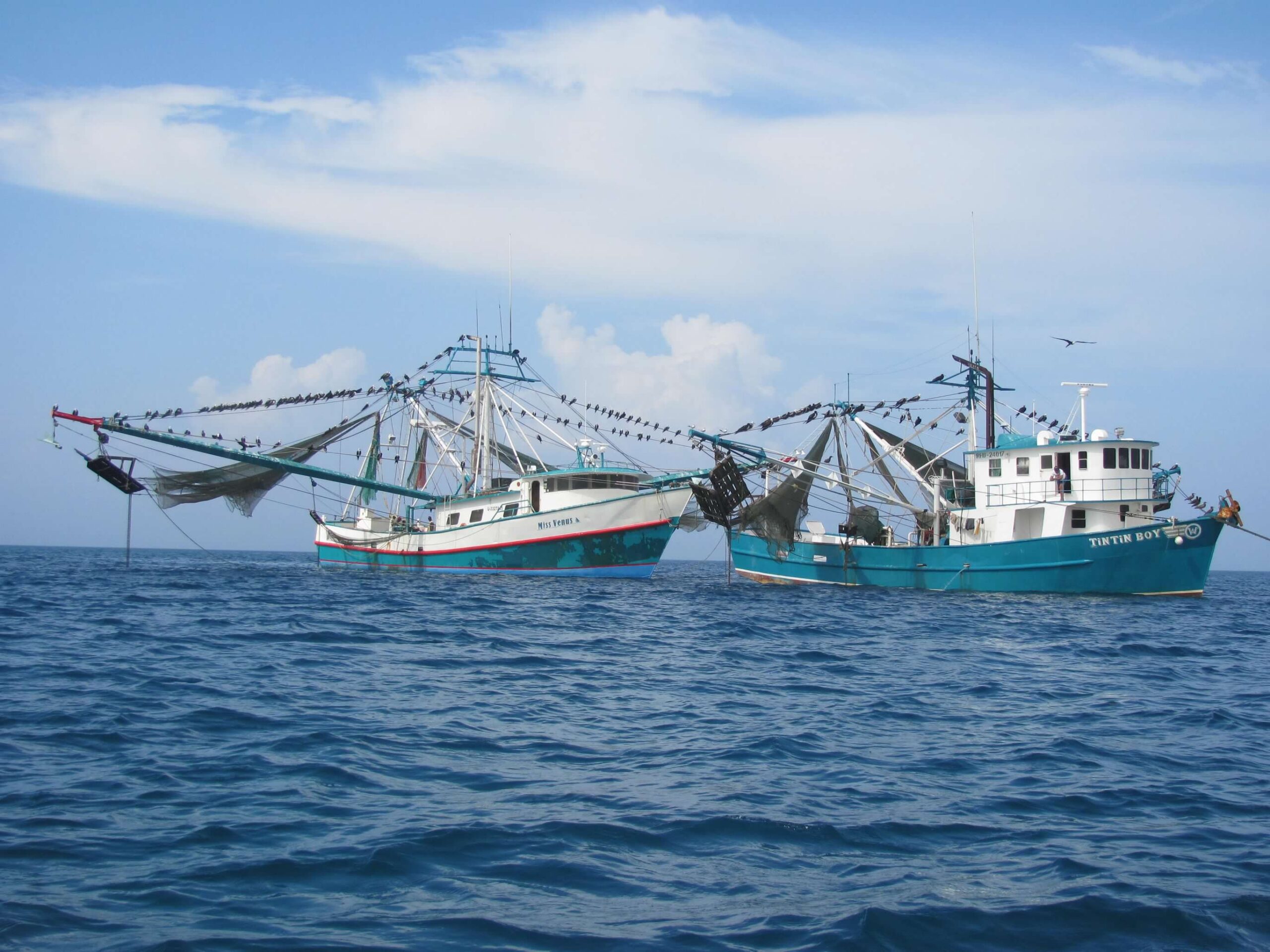 Vivorillos, Honduras – January 8, 2011