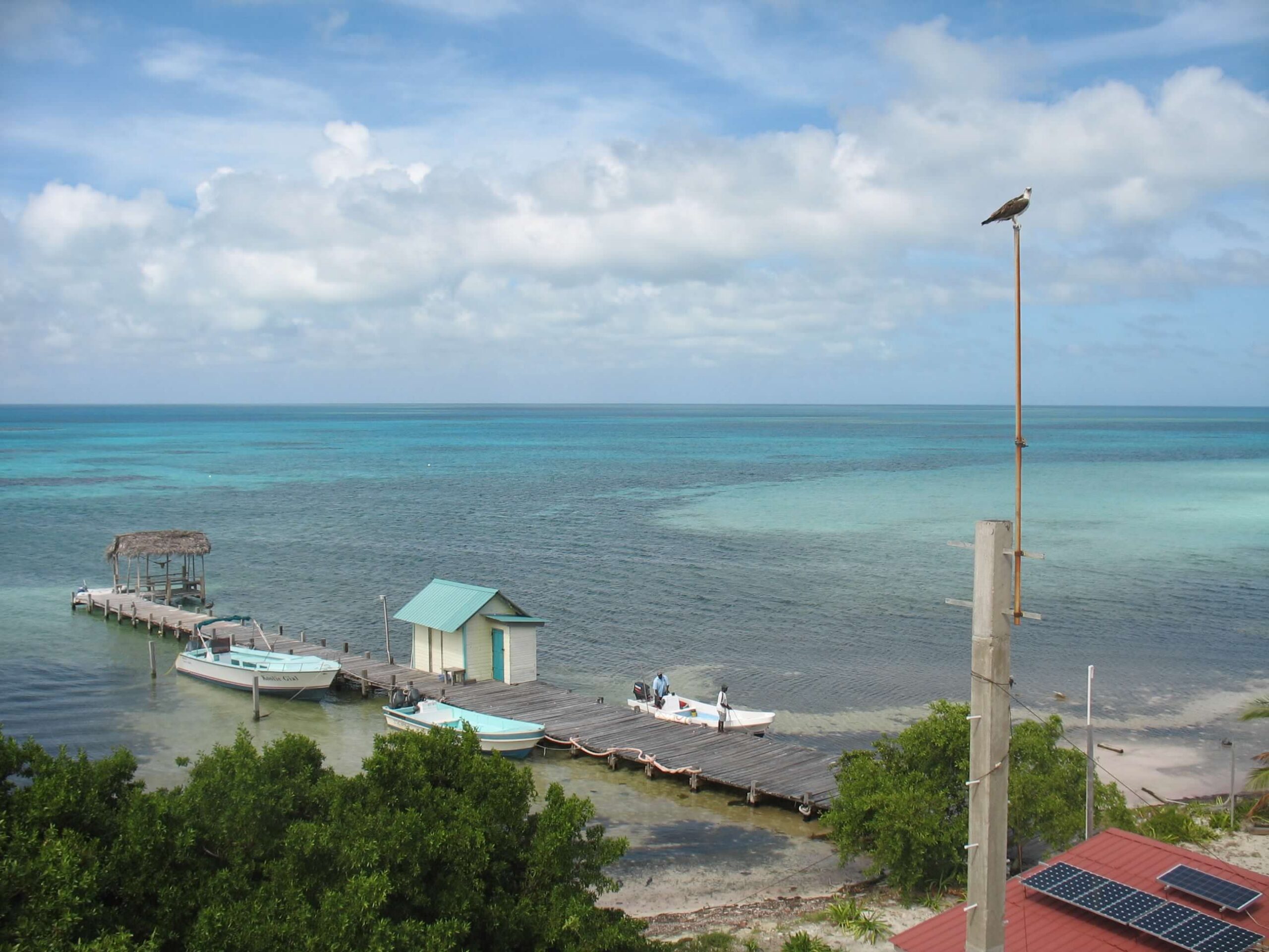 Placencia North Cays to Glover Atol Belize 1-2012